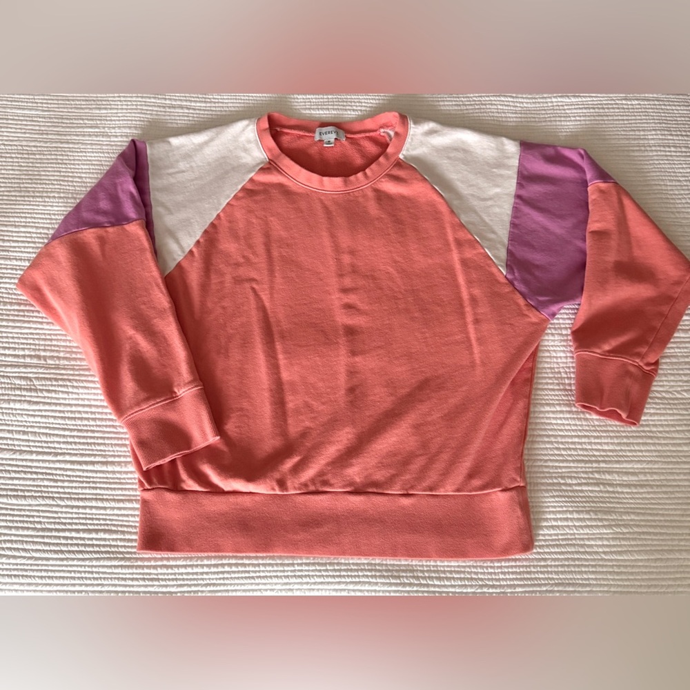 Evereve color block sweatshirt